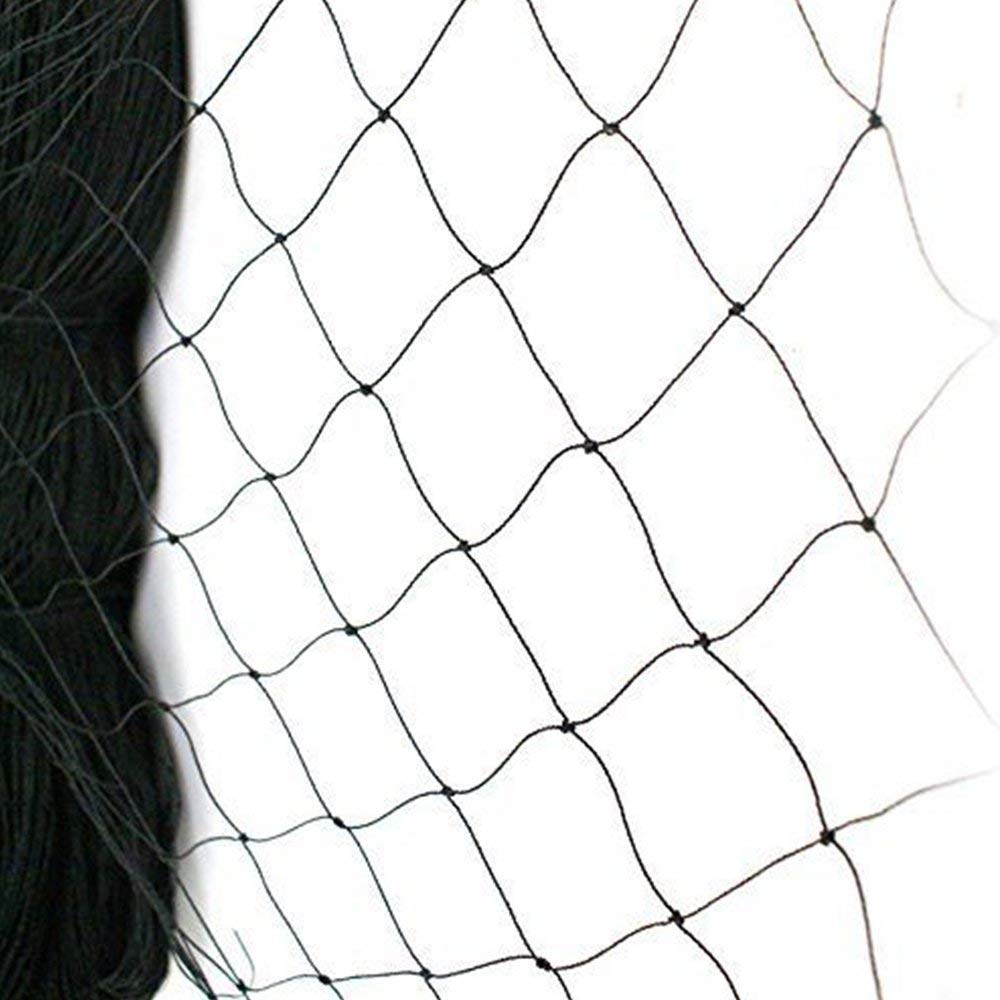 HASTHIP 5*15 ft Creeper Plant Support Net For Agriculture And Gardening, Heavy-Duty Polyester Creepers and Climbers Plants Trellis Netting for Climbing Plants, Vegetables, Fruits, and Flowers HASTHIP 5*15 ft Creeper Plant Support Net For Agriculture And Gardening, Heavy-Duty Polyester Creepers and Climbers Plants Trellis Netting for Climbing Plants, Vegetables, Fruits, and Flowers